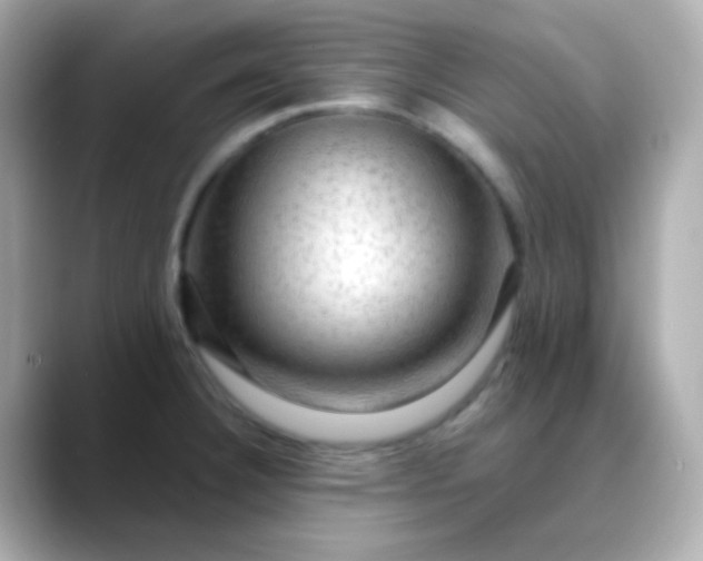 X0000088411332200706051147