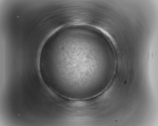 X0000088411333200706051147
