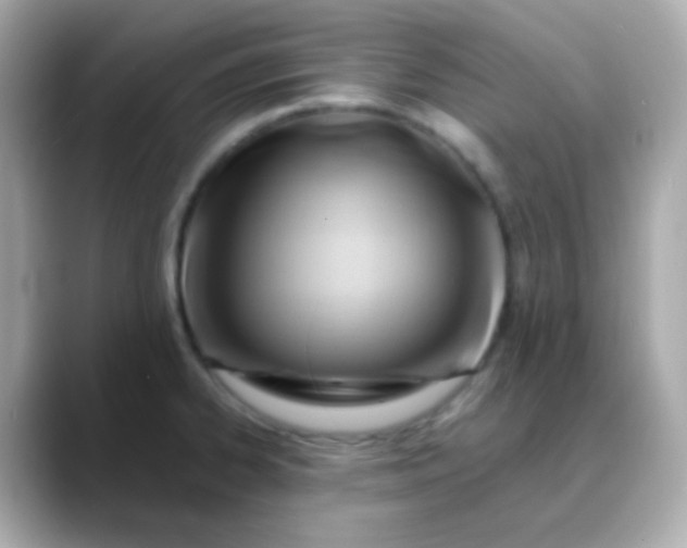 X0000088411334200706051147