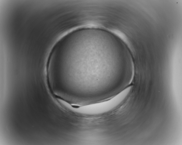 X0000088411335200706051147