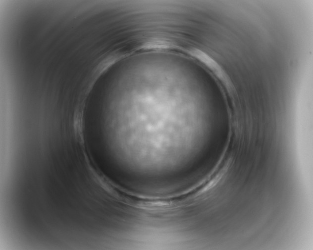 X0000088411337200706051147