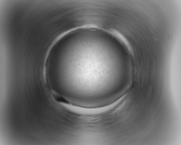X0000088411340200706051147