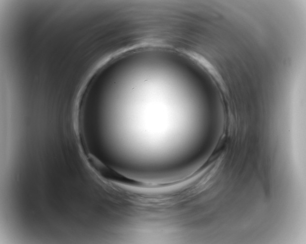 X0000088411342200706051147