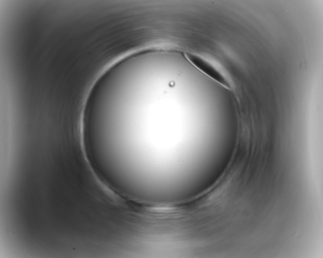 X0000088411343200706051147
