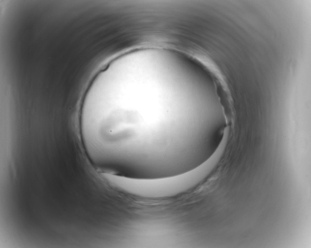 X0000088411344200706051147
