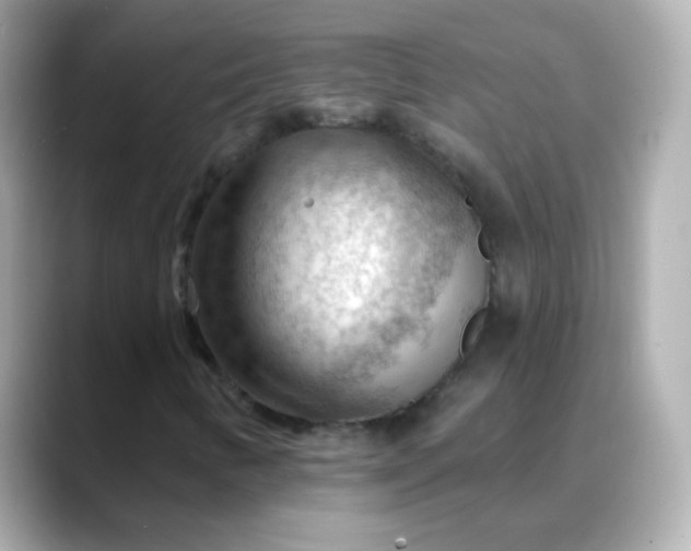 X0000088411346200706051146