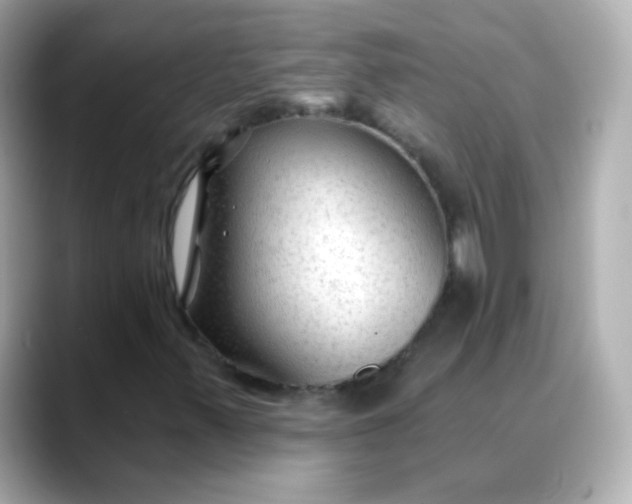 X0000088411347200706051146