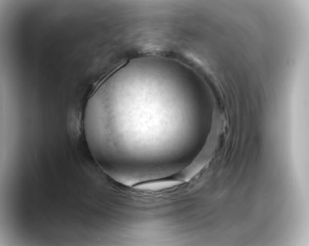 X0000088411348200706051146