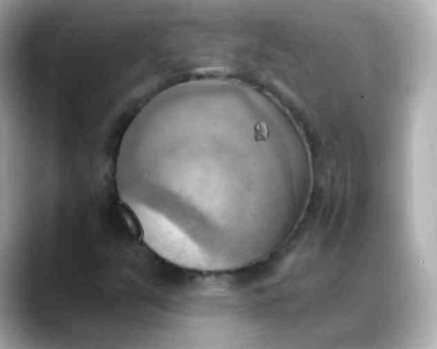X0000088411351200706051146