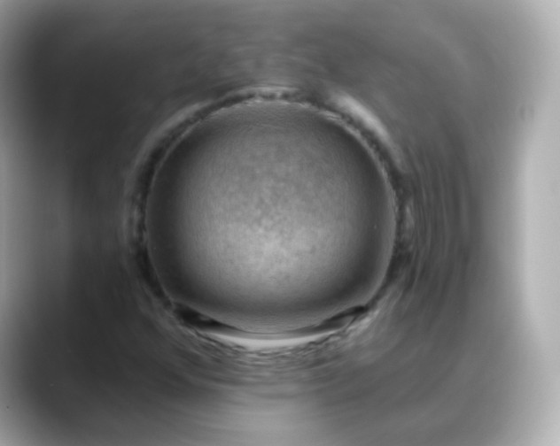 X0000088411352200706051146