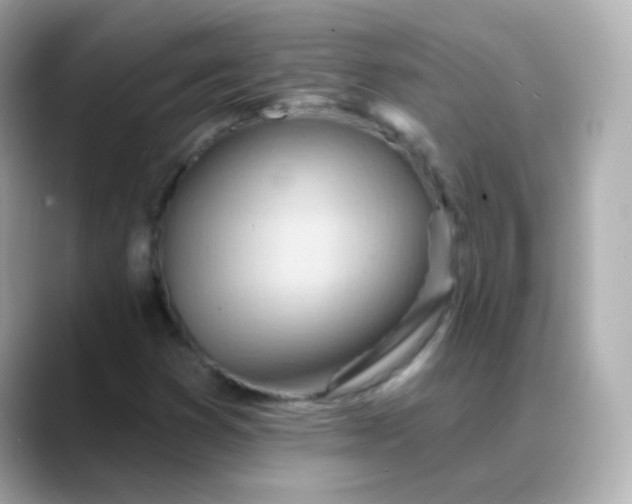 X0000088411353200706051146