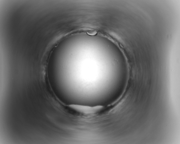 X0000088411355200706051146
