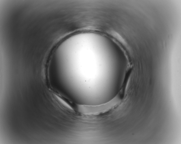 X0000088411356200706051146