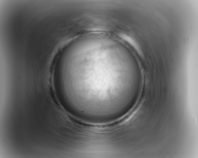 X0000088411357200706051146