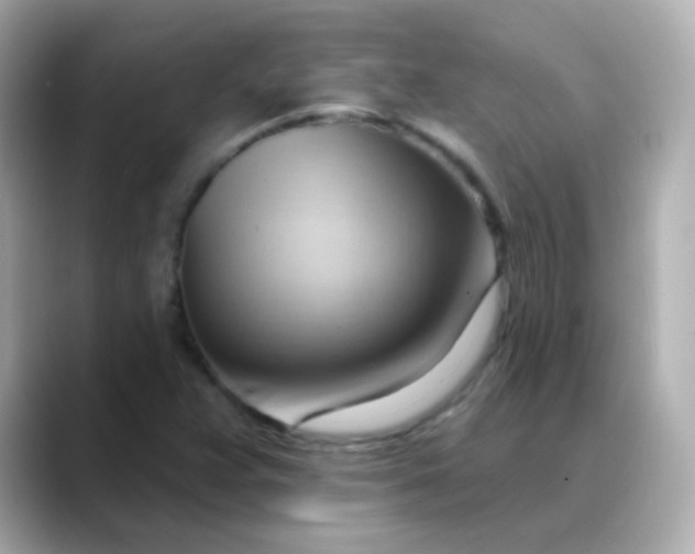 X0000088411359200706051146