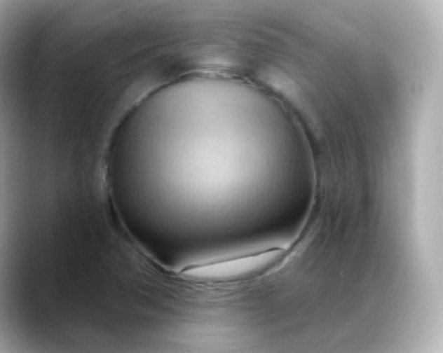 X0000088411362200706051146