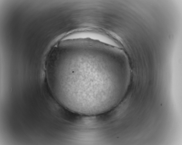 X0000088411363200706051146