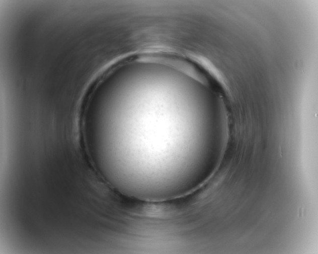X0000088411364200706051146