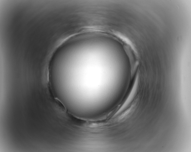 X0000088411365200706051146