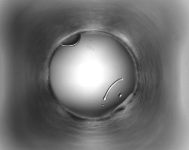 X0000088411366200706051146