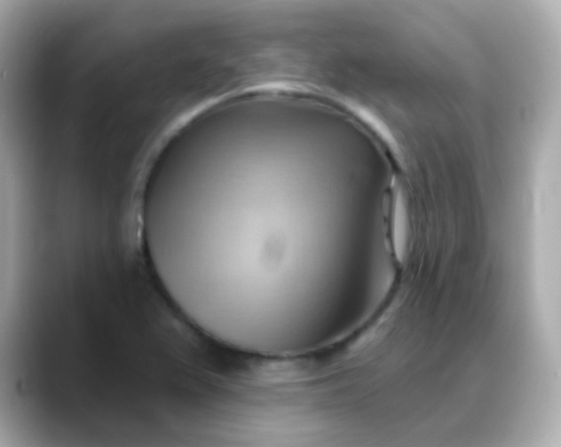 X0000088411367200706051146