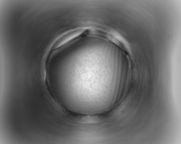 X0000088411368200706051146