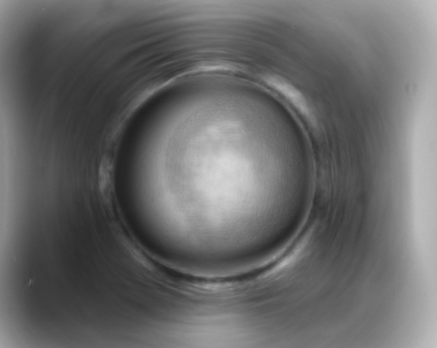 X0000088411369200706051146