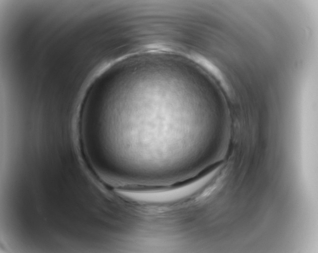 X0000088411373200706051146
