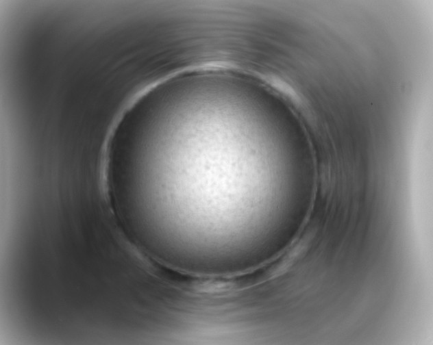 X0000088411374200706051146