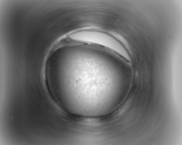 X0000088411375200706051146