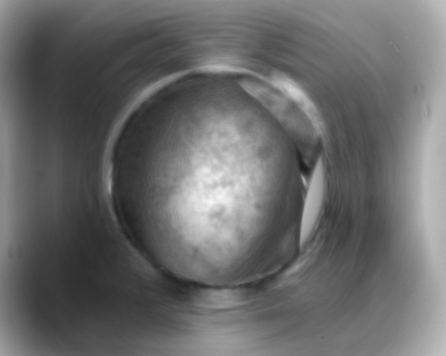 X0000088411376200706051146