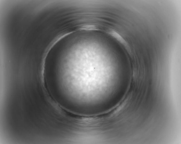X0000088411378200706051146