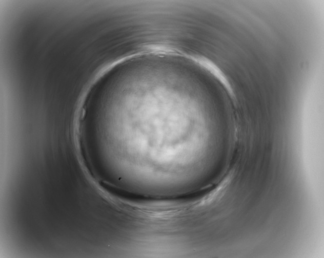 X0000088411381200706051146
