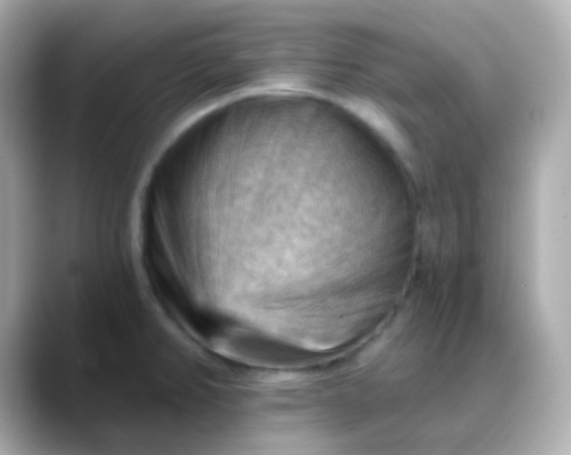 X0000088411382200706051146
