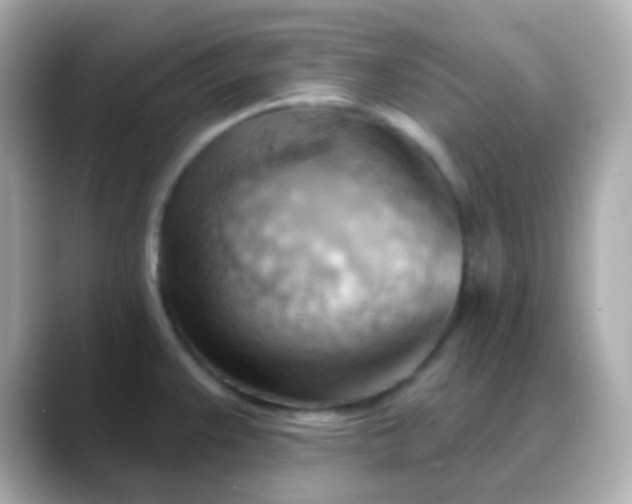 X0000088411383200706051146