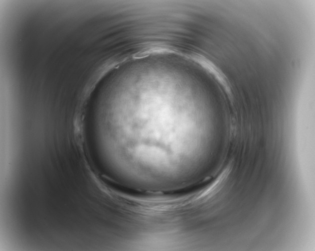 X0000088411385200706051146