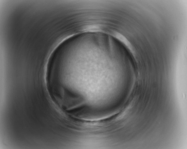 X0000088411386200706051146