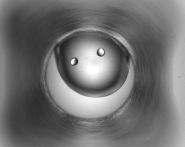 X0000088411388200706051146
