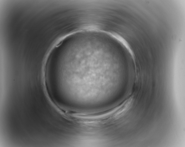 X0000088411389200706051146