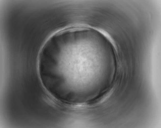 X0000088411390200706051146