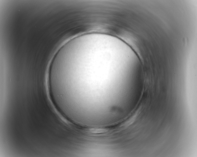 X0000088411391200706051146