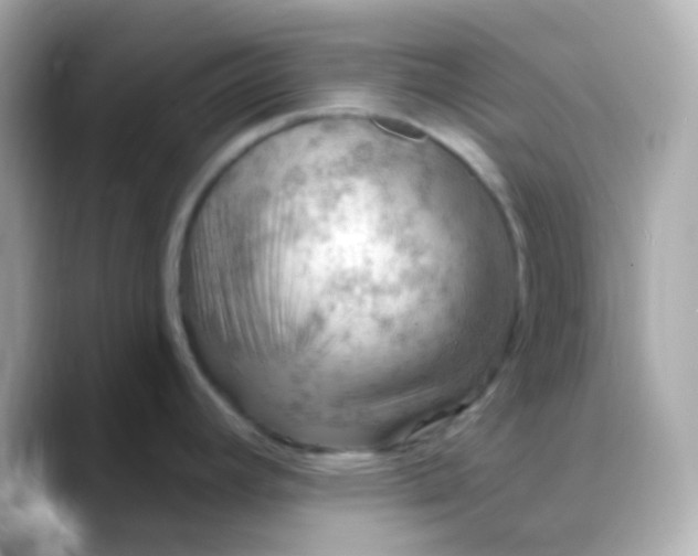 X0000088411392200706051146