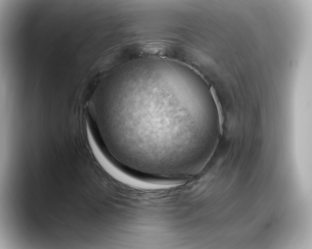 X0000088411394200706051145