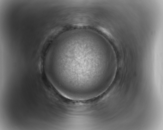 X0000088411398200706051145