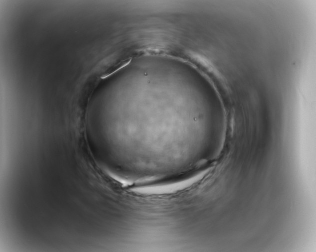 X0000088411399200706051145