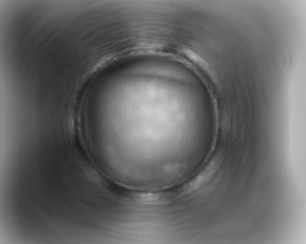 X0000088411401200706051145