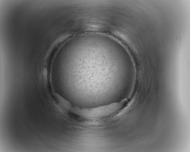 X0000088411402200706051145