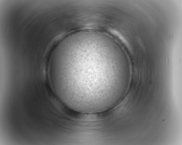 X0000088411403200706051145