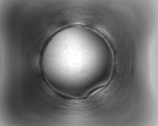 X0000088411404200706051145