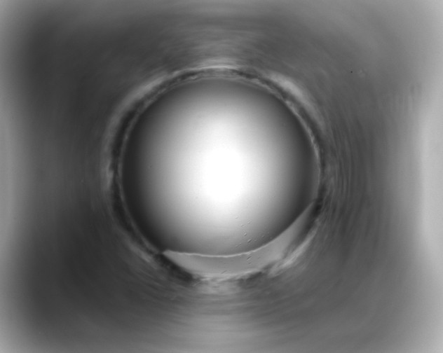 X0000088411406200706051145